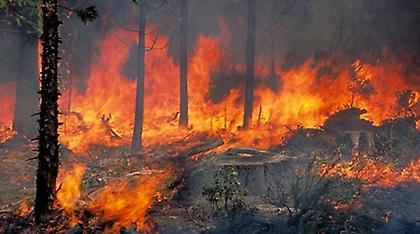 Πυρκαγιά σε δασική έκταση στο Καρπενήσι