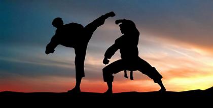 Επτά πολεμικές τέχνες που δεν ήξερες καν ότι υπάρχουν