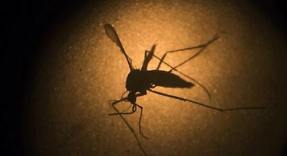 Δεύτερος θάνατος στην Ελλάδα από τον ιό του Δυτικού Νείλου