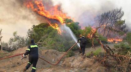 Πυρκαγιά σε αγροτοδασική έκταση στην περιοχή Κούμανι Ηλείας