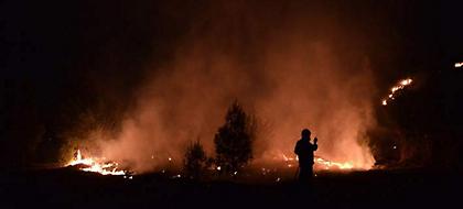 Μεγάλη πυρκαγιά στο Γαλάτσι στις παρυφές του Αλσους Βεΐκου -Μάχη να μην φτάσει σε οικίες (pics)