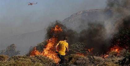 Φωτιά σε δασική έκταση στο Ίλιον Αττικής