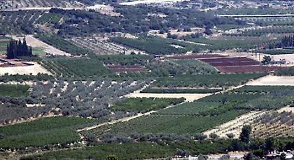 Δεν θα δοθεί νέα παράταση για τους δασικούς χάρτες