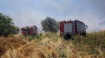 Φωτιά σε εργοστάσιο στα Μέγαρα