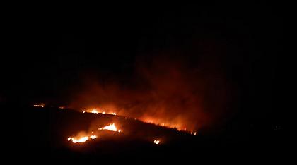 «Μαφία» και στις φωτιές στην Ιταλία: «Εθελοντές» τις άναβαν για να... αμείβονται όταν τις σβήνουν!