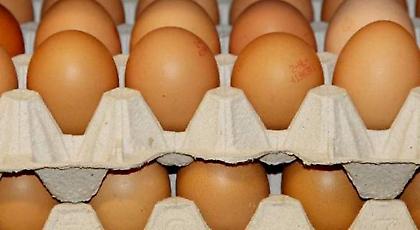 Συναγερμός στην Ευρώπη για μολυσμένα αβγά- Φόβοι ότι εμπλέκονται 7 χώρες