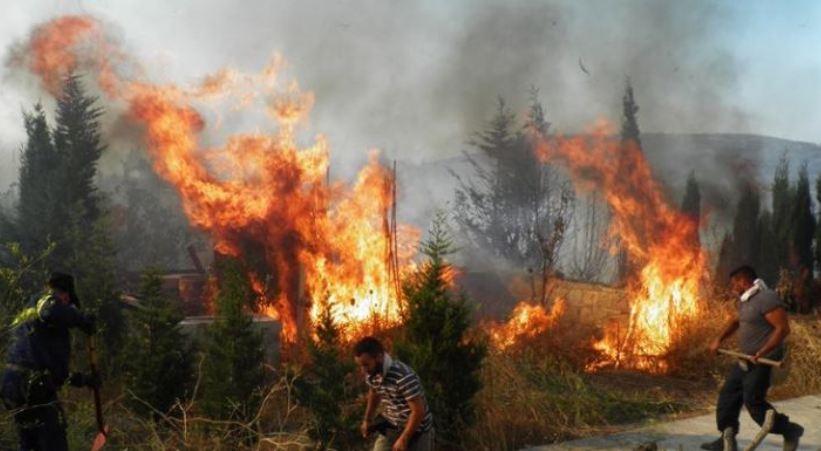Νέα αναζωπύρωση της φωτιάς στα Κύθηρα