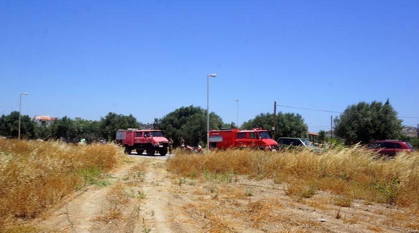 Μεγάλη φωτιά στο δάσος του Αχέροντα