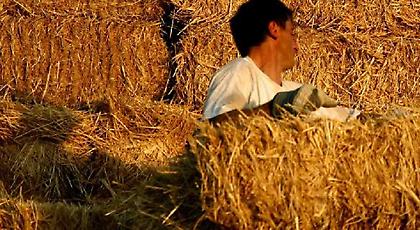 Αποζημιώσεις 12,46 εκατ. ευρώ θα καταβάλει την Πέμπτη ο ΕΛΓΑ