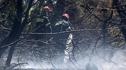 Προφυλακιστέος 24χρονος για πρόκληση 16 πυρκαγιών στην Αττική