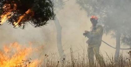 Υπό μερικό έλεγχο οι φωτιές σε Ηλεία και Πρέβεζα