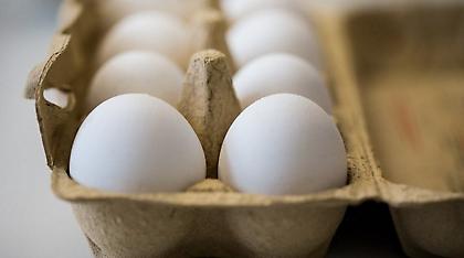 ΕΕ: Αυτές είναι οι 15 χώρες στις οποίες έχουν κυκλοφορήσει μολυσμένα αυγά
