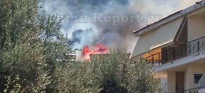 Μεγάλη φωτιά στα Καμένα Βούρλα -Καίει πευκοδάσος, απειλεί σπίτια (pics)