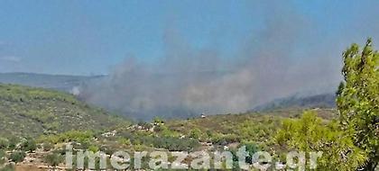 Νέα πυρκαγιά σε δάσος στο Καλαμάκι της Ζακύνθου -Δέκα ενεργά μέτωπα φωτιάς στο νησί
