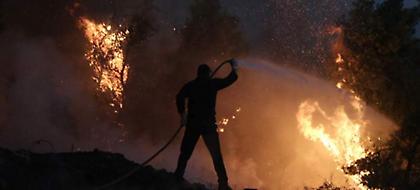 Επίθεση ΝΔ σε Τόσκα: Τραγικά αποτελέσματα στις επιχειρήσεις κατάσβεσης -Στάχτες και αποκαΐδια