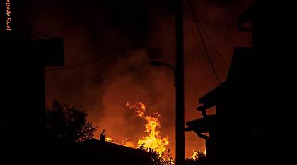 Τρεις φωτιές καίνε ανεξέλεγκτες την Κεφαλονιά