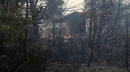 «Καίνε» την κυβέρνηση οι καταγγελίες: Ολιγώρησαν τα εναέρια μέσα, κανένας συντονισμός