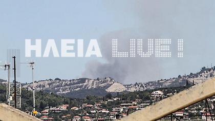 Πυρκαγιά σε δασική έκταση στην περιοχή Κρυονέρι Αμαλιάδας