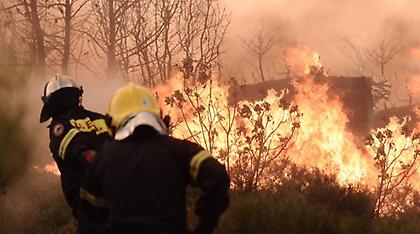 Πυροσβεστική: Δεν μπορούμε να μιλάμε για εμπρησμούς - Τα αίτια δεν έχουν διερευνηθεί