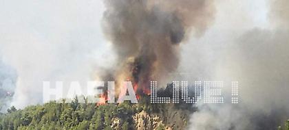 Ανεξέλεγκτες μαίνονται 4 πυρκαγιές στο νομό Ηλείας – Συνελήφθη ένα άτομο