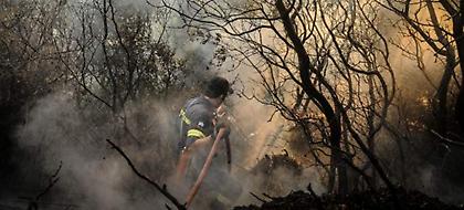 Η πυροσβεστική άδειασε την κυβέρνηση: Δεν μπορούμε να μιλάμε για εμπρησμούς