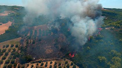 Σε εξέλιξη η φωτιά στην Αμαλιάδα, δύο ενεργά μέτωπα