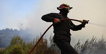 Πύργος: Μάχη σε δύο μέτωπα πυρκαγιάς - βελτιωμένες οι καιρικές συνθήκες