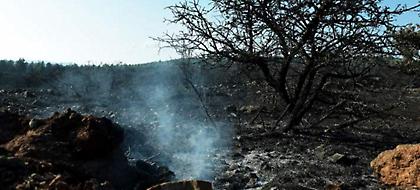 Η επόμενη μέρα από τις καταστροφικές πυρκαγιές -«Ζήσαμε την κόλαση του Δάντη» (pic)