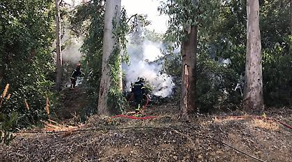 Υψηλός κίνδυνος για πυρκαγιά σε πολλές περιοχές την Πέμπτη