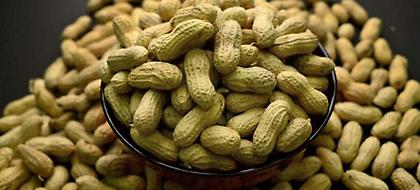 Αυστραλοί επιστήμονες θεράπευσαν την παιδική αλλεργία στα φιστίκια