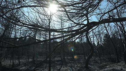 Φωτιές, η επόμενη μέρα: Οι ελλείψεις, οι πλημμέλειες και οι ευθύνες
