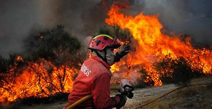 Πορτογαλία: Τεράστια οικολογική καταστροφή - ρεκόρ συλλήψεων για εμπρησμούς