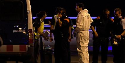 Βίντεο-ντοκουμέντο από την ανταλλαγή πυρών με τους τρομοκράτες στην Καμπρίλς