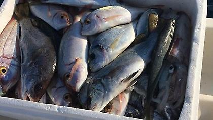 Ποιός γαλάζιος πρώην υπουργός πήγε για ψάρεμα