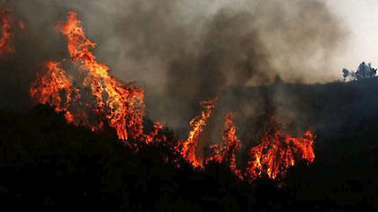 Σε ύφεση η πυρκαγιά στην περιοχή της Μάκρης του Δήμου Αλεξανδρούπολης