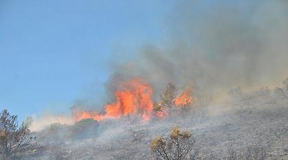 Πρόλαβαν οι πυροσβέστες φωτιά στην Εύβοια - Κανένα ενεργό μέτωπο