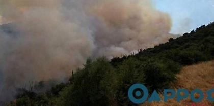 Μεγάλη πυρκαγιά ξέσπασε και στην Κυπαρισσία