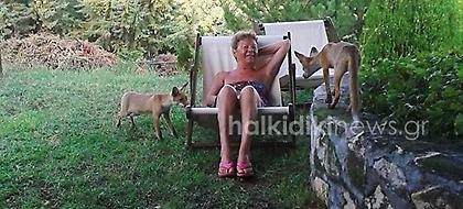 Viral φωτογραφίες από τη Χαλκιδική: Αλεπουδάκια σαν κατοικίδια σε σπίτι (pics)