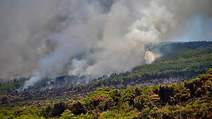 Σε μια ημέρα 67 πυρκαγιές - Οι εξελίξεις σε όλα τα μετωπα