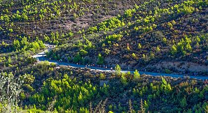 Tο Spetses Mini Marathon 2017 πάει για... αναδάσωση!