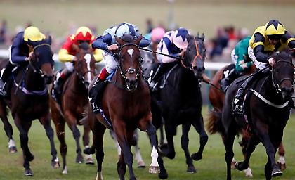 Τρελά λεφτά αναμένεται να μοιράσει στους νικητές το σημερινό ιπποδρομιακό κουπόνι