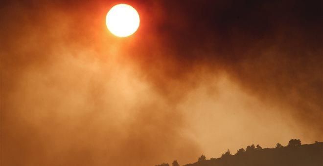 Πυρκαγιά σε δασώδη έκταση στην Ζάκυνθο