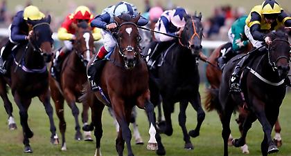 Με 28 ιπποδρομίες το κουπόνι του Σαββάτου και με διαδρομές που αναμένεται να δώσουν χιλιάδες ευρώ