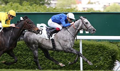 Το ιπποδρομιακό μενού της Δευτέρας έχει από όλα - Με παιχνίδι γκανιάν θα πάμε κυρίως!