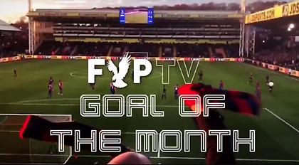 Επικός φίλαθλος της Κρίσταλ Πάλας-Έφτιαξε διαγωνισμό για το γκολ του μήνα με ένα γκολ! (video)