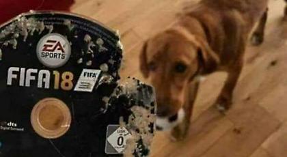 Πώς θα αντιδρούσατε αν ο σκύλος σας έκανε αυτό στο FIFA 18; (pic)
