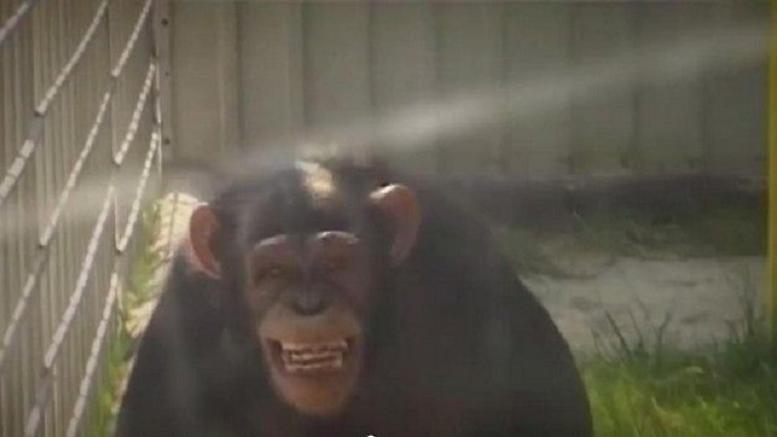 Έξαλλος ο Ρομέο άρπαξε τον φύλακα που «φλέρταρε» την Ιουλιέτα (pic)