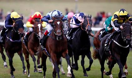 Η ιπποδρομιακή αγορά δείχνει πως στο πρόγραμμα της Αγγλίας δεν υπάρχουν μεγάλα φαβορί