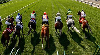 Mε 35 ιπποδρομίες το σημερινό πρόγραμμα