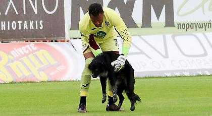 Ο… μαλλιαρός εισβολέας του ΟΦΗ-Απόλλων (pics)